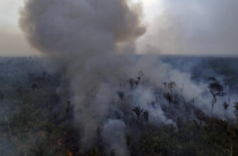 2024 is on its strategy to being the most popular 12 months ever