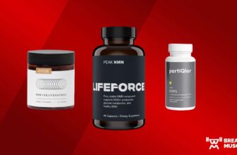 Greatest NMN Complement of 2024, In line with a Vitamin Coach