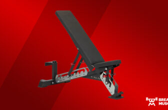 Titan Collection Adjustable Bench Evaluation (2024)