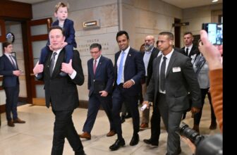 Elon Musk Spent His Christmas Vacation Getting Mad On-line and in a German Newspaper