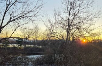 The Little Issues Publication #448 – Life, laughter, and plenty of nice meals!