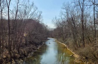 The Little Issues Publication #460 – Life, laughter, and many nice meals!