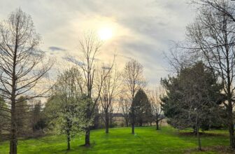 The Little Issues Publication #465 – Life, laughter, and plenty of nice meals!