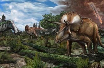 Dinosaurs Weren’t Fading Earlier than the Asteroid—We Simply Suck at Discovering Their Fossils