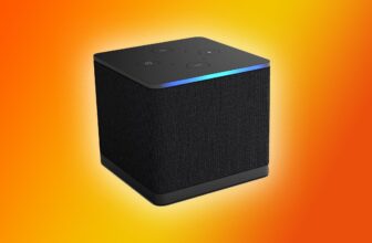 The Amazon Hearth TV Dice simply dropped to its lowest value of the yr