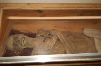 By no means-Earlier than-Seen Anal Embalming Technique Saved This European Mummy Preserved for Almost 300 Years