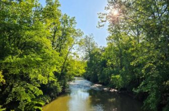 The Little Issues Publication #470 – Life, laughter, and many nice meals!