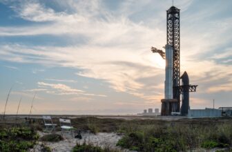 Voters Head to the Polls to Determine If Elon Musk Ought to Get a Firm City in Texas