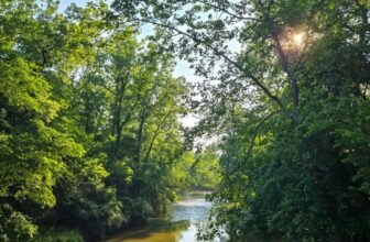 The Little Issues E-newsletter #473 – Life, laughter, and many nice meals!