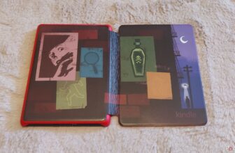 That is the one Kindle accent I am unable to dwell with out