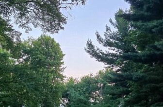 The Little Issues E-newsletter #481 – Life, laughter, and plenty of nice meals!