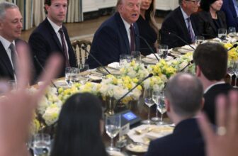 Large Tech Tells H-1B Staff To not Go away Nation Because of Trump’s New Coverage