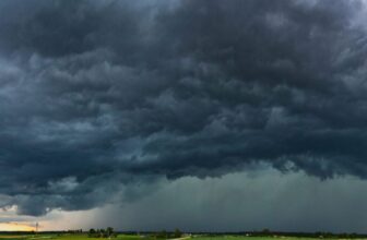 Tips on how to Turn into a Yard Meteorologist With a Few Easy Instruments