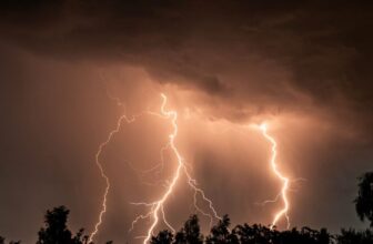 When Thunderstorms Hit, Bronchial asthma Can Turn out to be an ER Nightmare