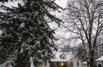 The Little Issues E-newsletter #498 – Life, laughter, and plenty of nice meals!